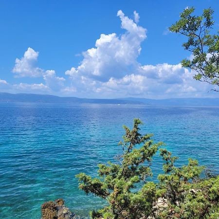 Apartments Palme Malinska Εξωτερικό φωτογραφία