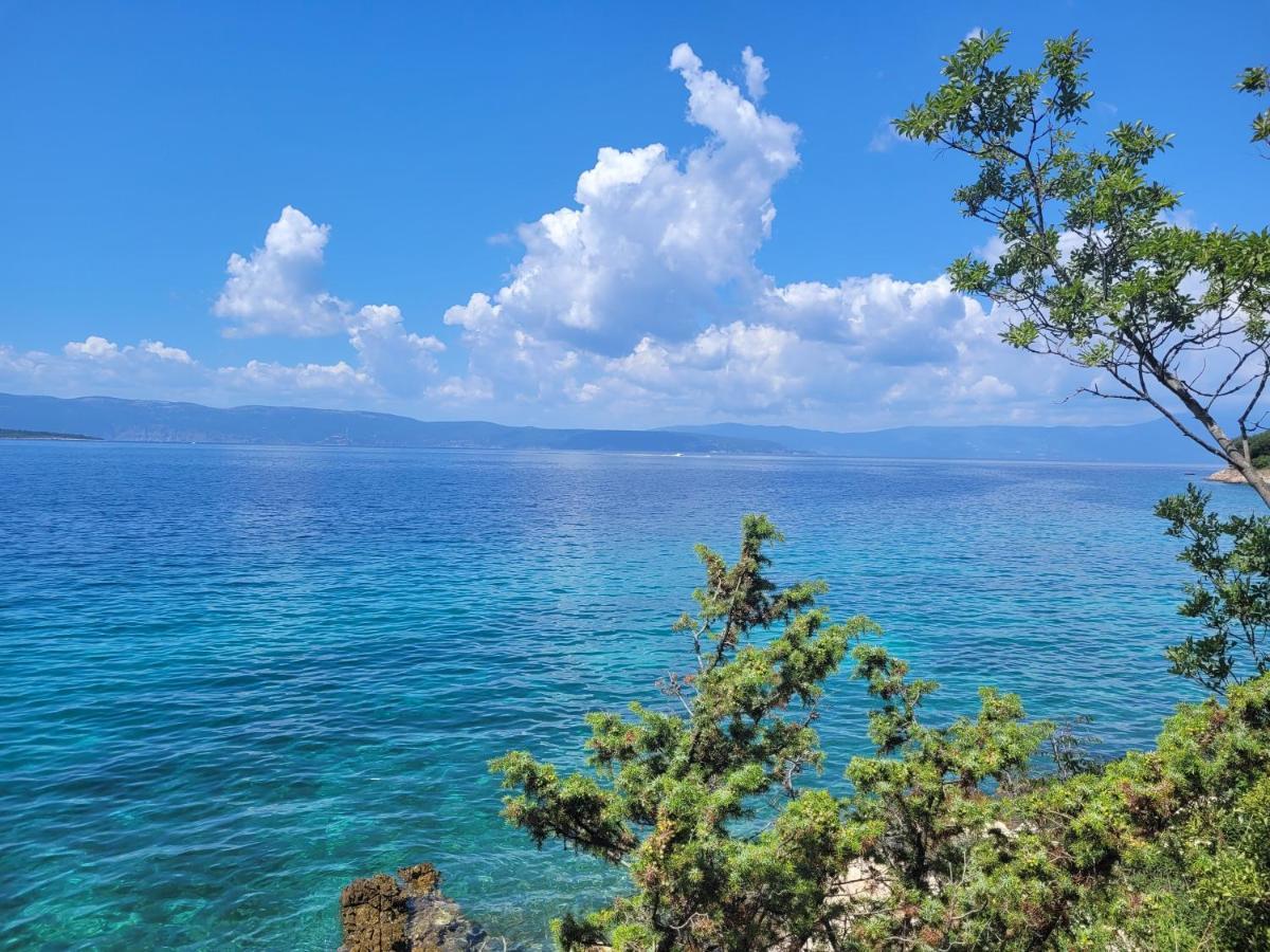 Apartments Palme Malinska Εξωτερικό φωτογραφία
